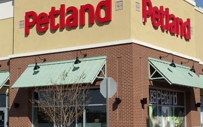 Petland Commercial Building