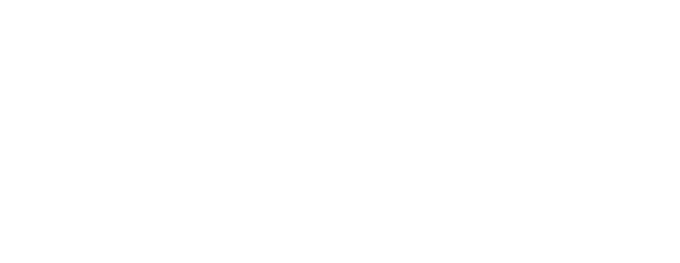 car tint-white